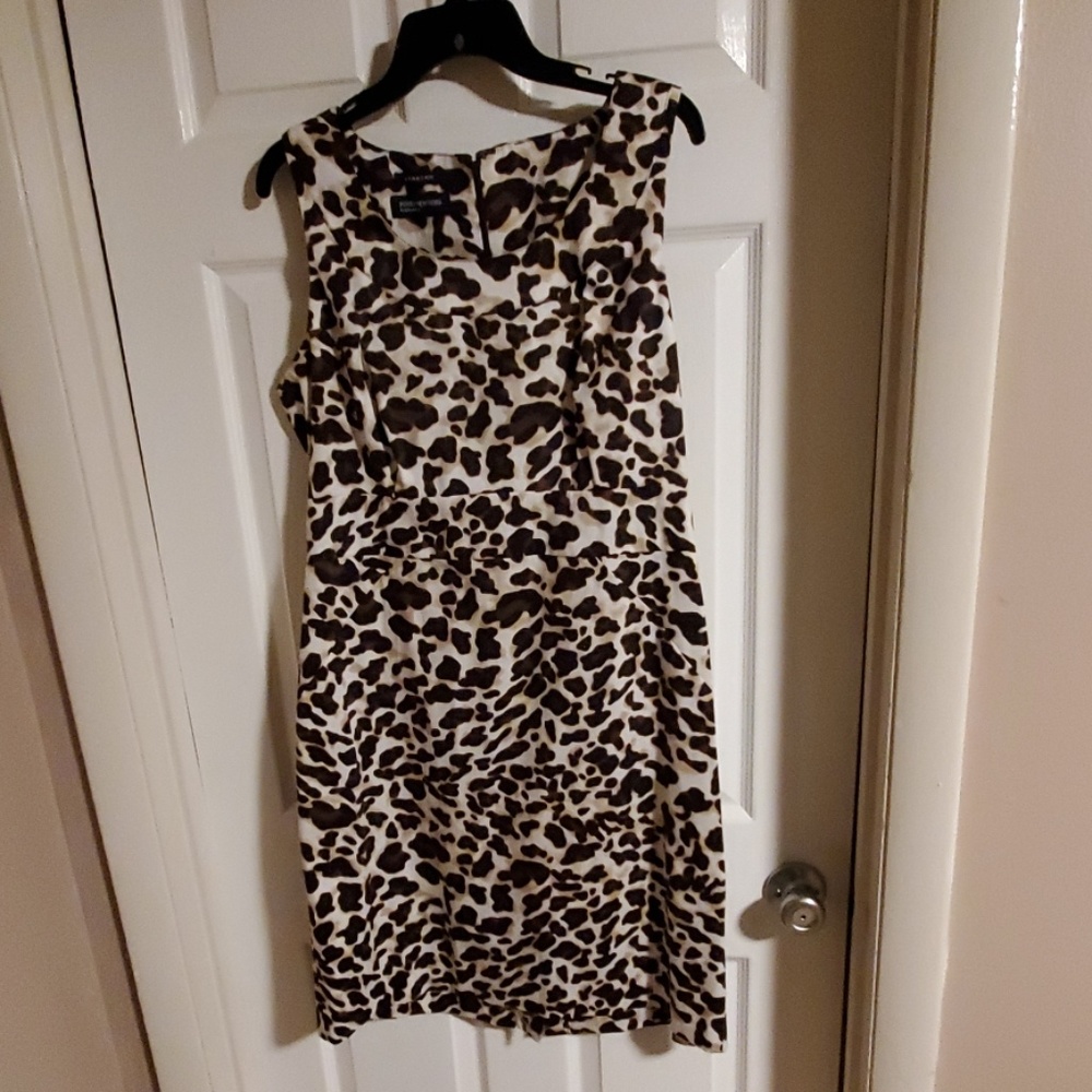 Jones New York Signature Dress